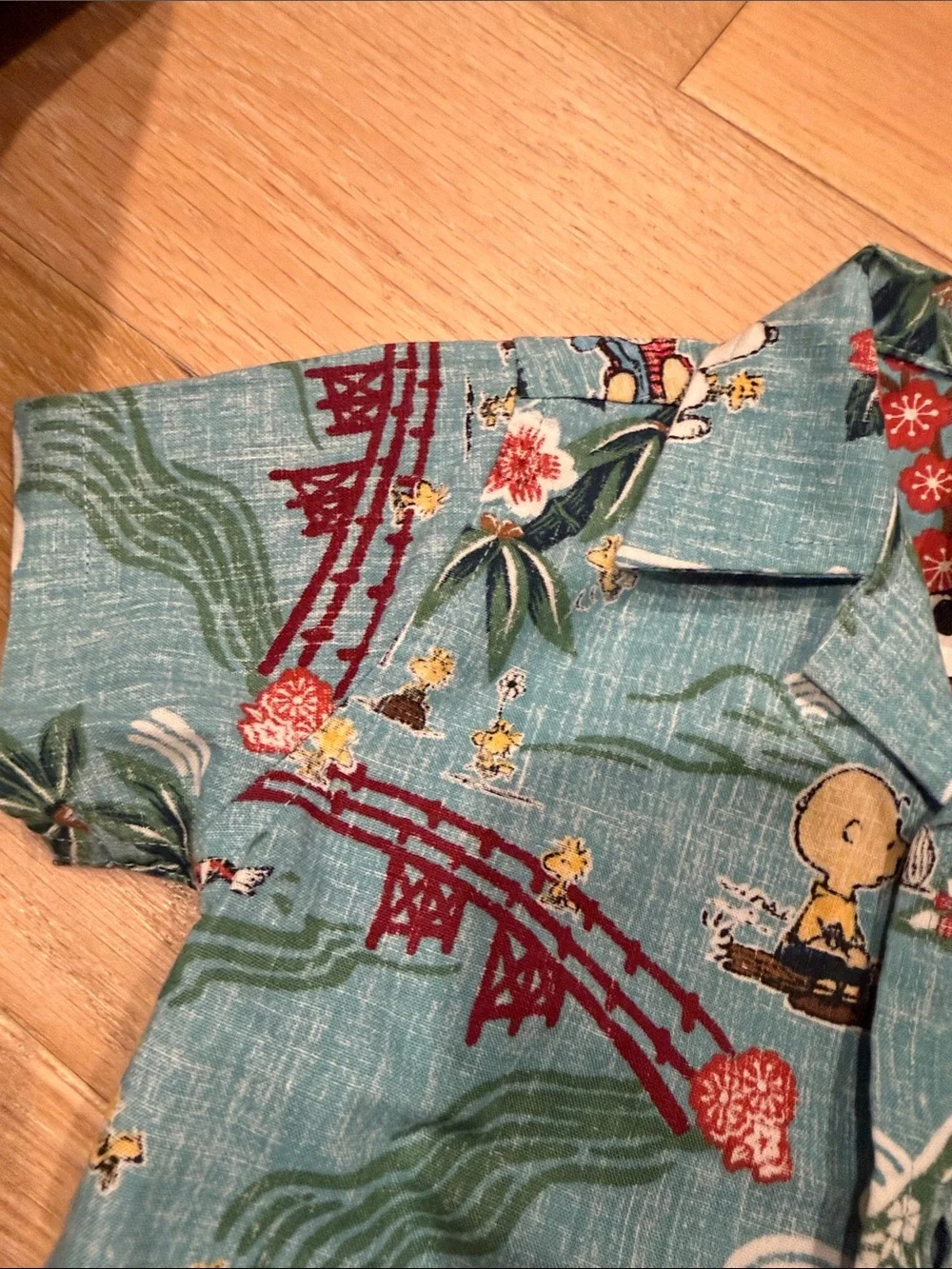 reyn spooner Kids Matching Set - snoopy‎ peanuts  12-18 months